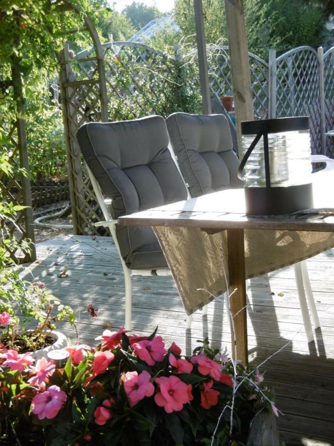 Le Chat Qui Peche B&B Châteauneuf-la-Forêt Exteriör bild