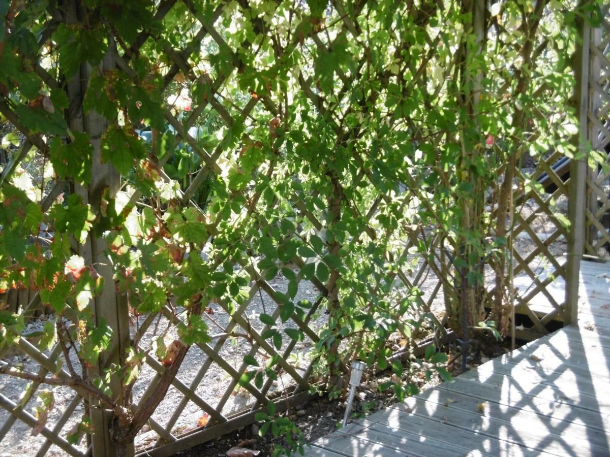 Le Chat Qui Peche B&B Châteauneuf-la-Forêt Exteriör bild