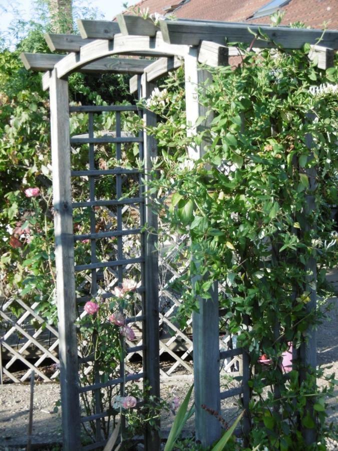 Le Chat Qui Peche B&B Châteauneuf-la-Forêt Exteriör bild